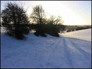 Snow fields
