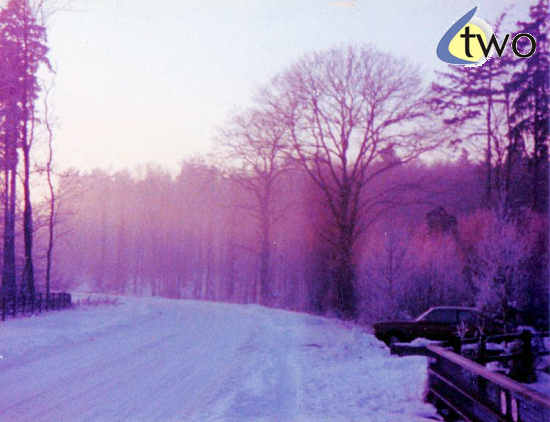 Snow in January 1982