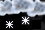 Light snow