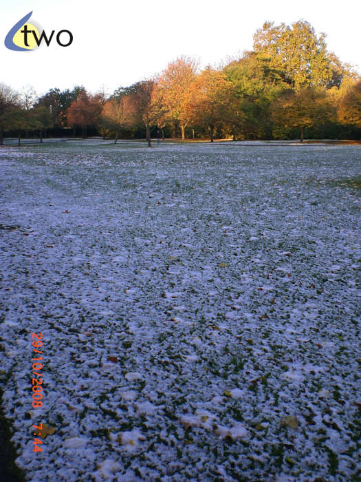 Regent's Park, London, snow in October 2008 pic 1