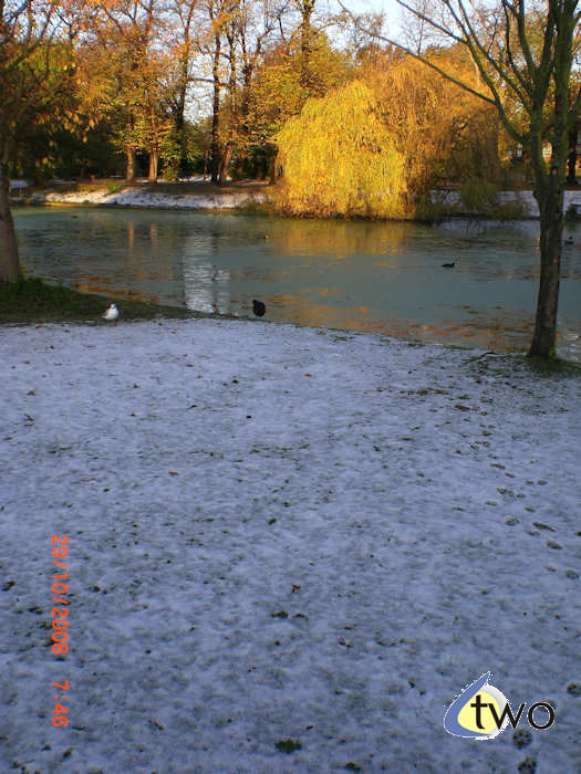 Regent's Park, London, snow in October 2008 pic 2