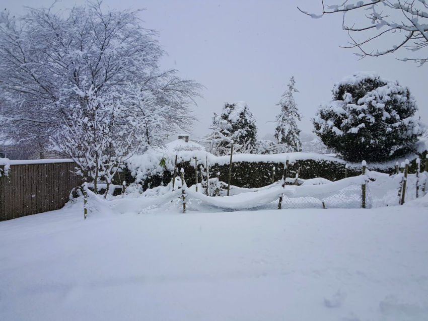 Berkhamsted snow, December 2017
