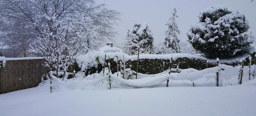 Berkhamsted snow, December 2017