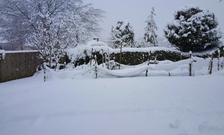 Berkhamsted snow, December 2017