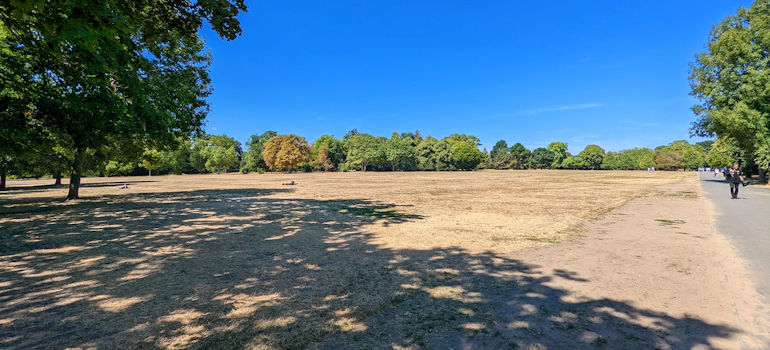 A parched looking Regents Park in London 