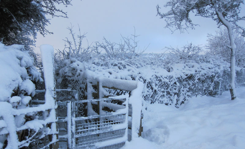 Berkhamsted snow scene