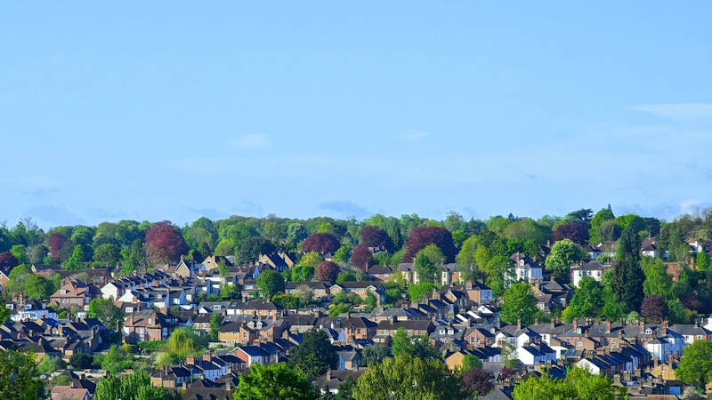 Spring sunshine in Berkhamsted