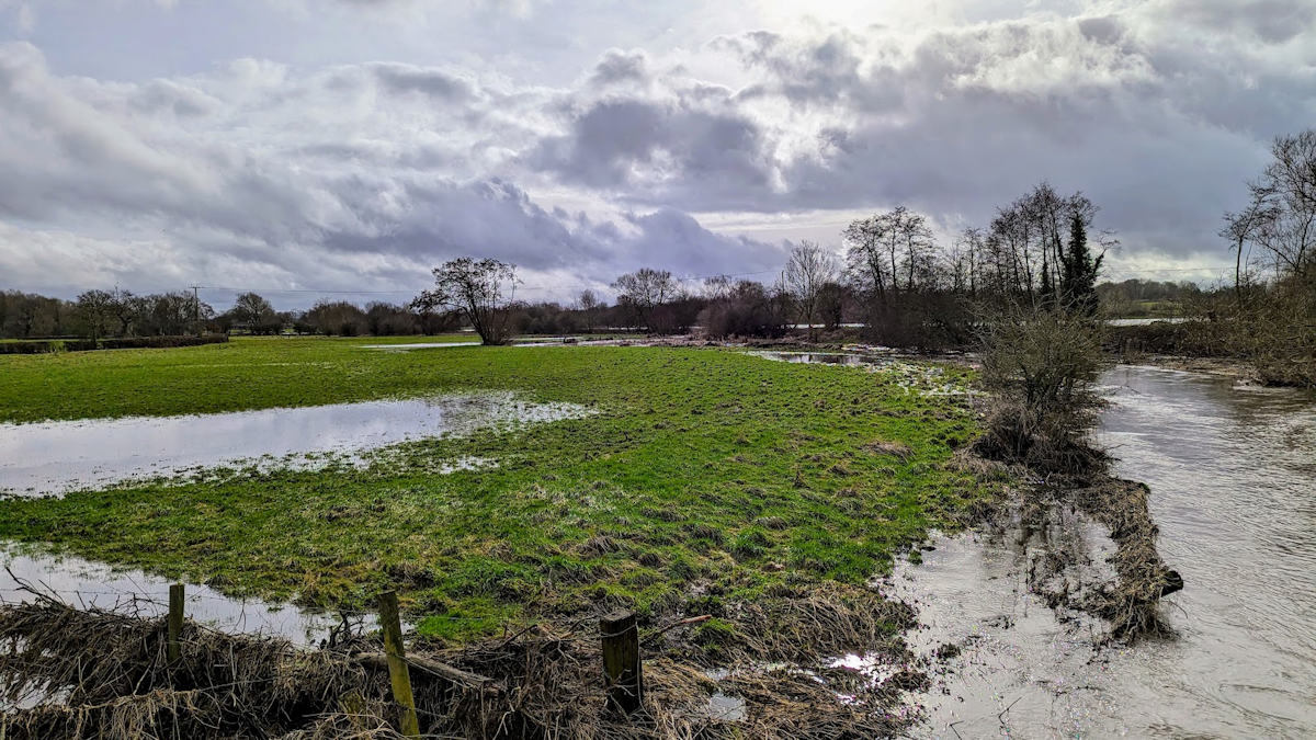 Flooded fields