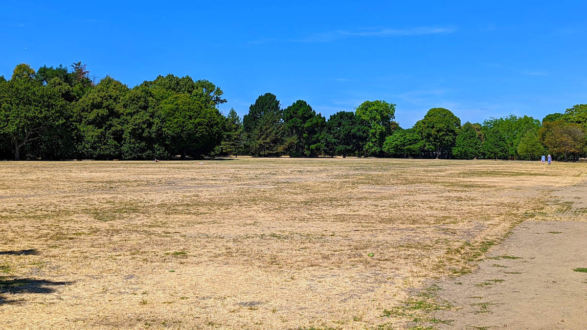 Parched land
