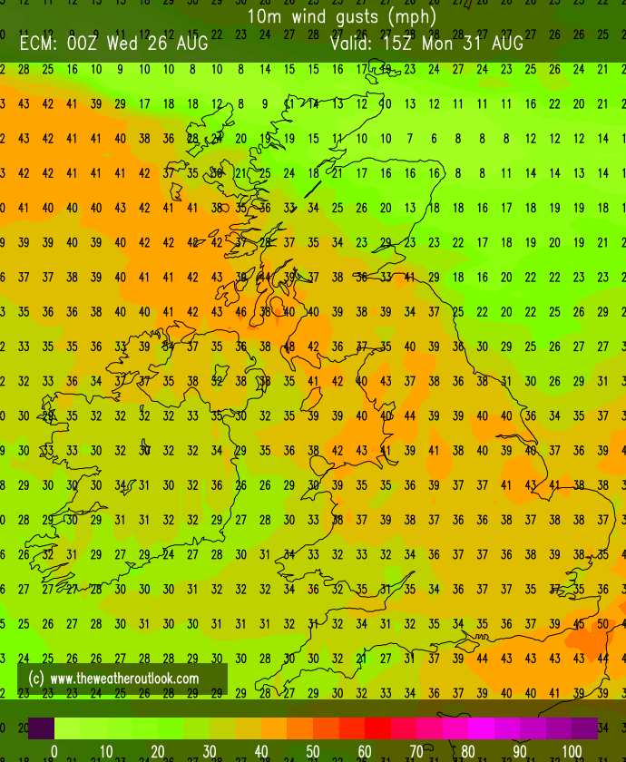 ECMWF wind gusts