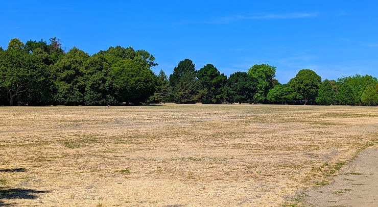 Regent's Park, summer 2022