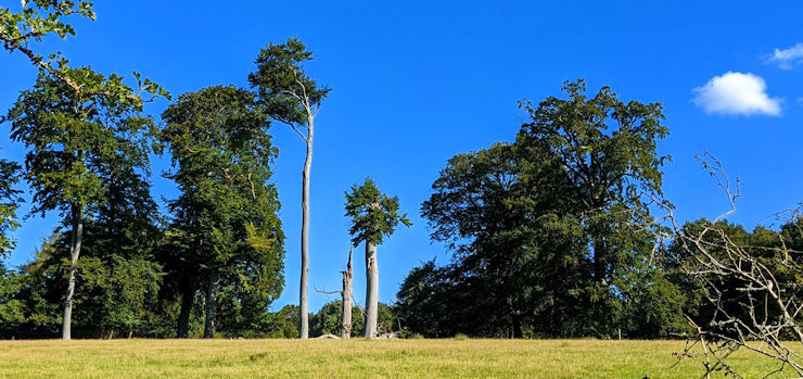 Fine summer weather in the Chilterns