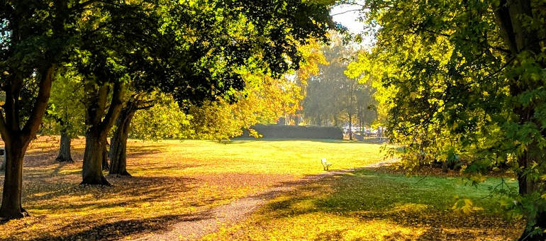 Autumn colours