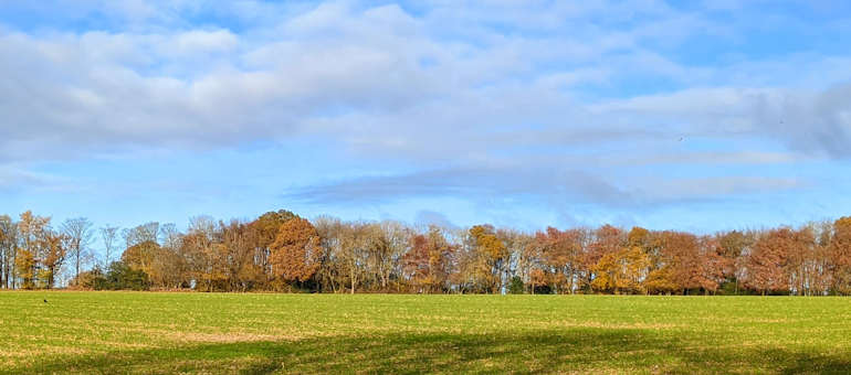 Autumn colours in the Chilterns