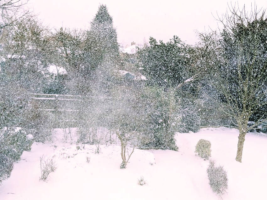 Preview image for Winter remains AWOL