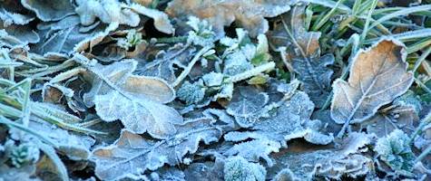 Ground frost