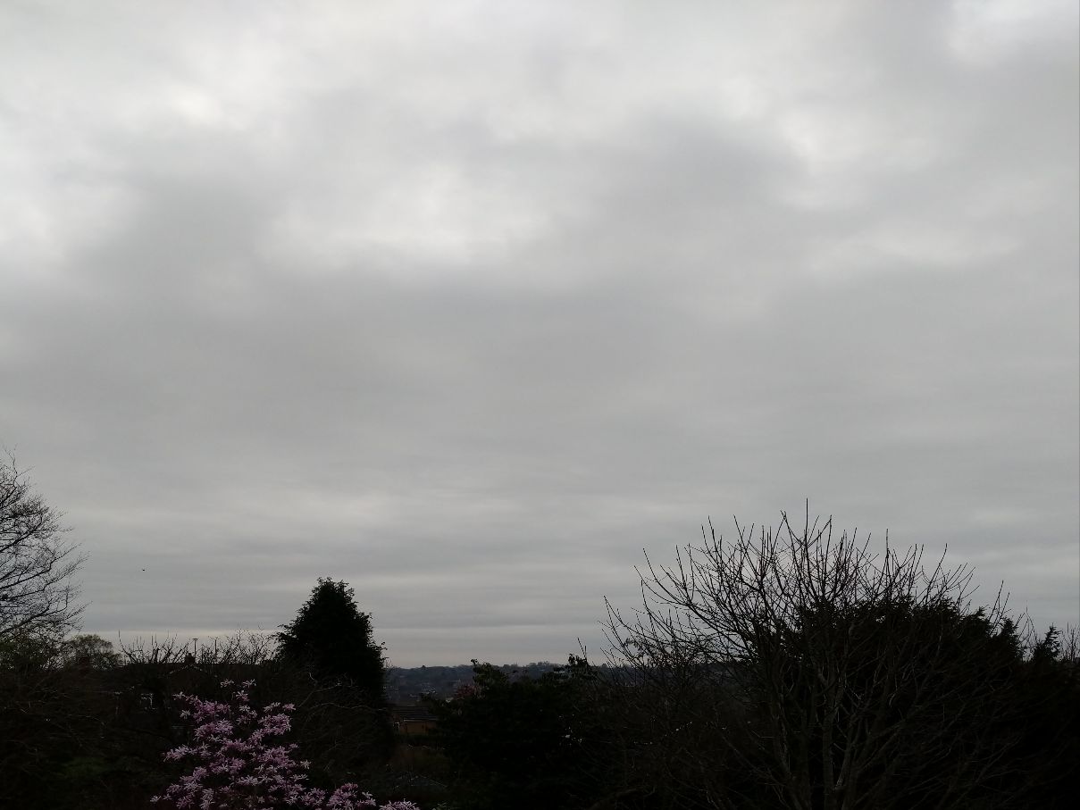 Berkhamsted, Hertfordshire, Overcast. 8.9C...