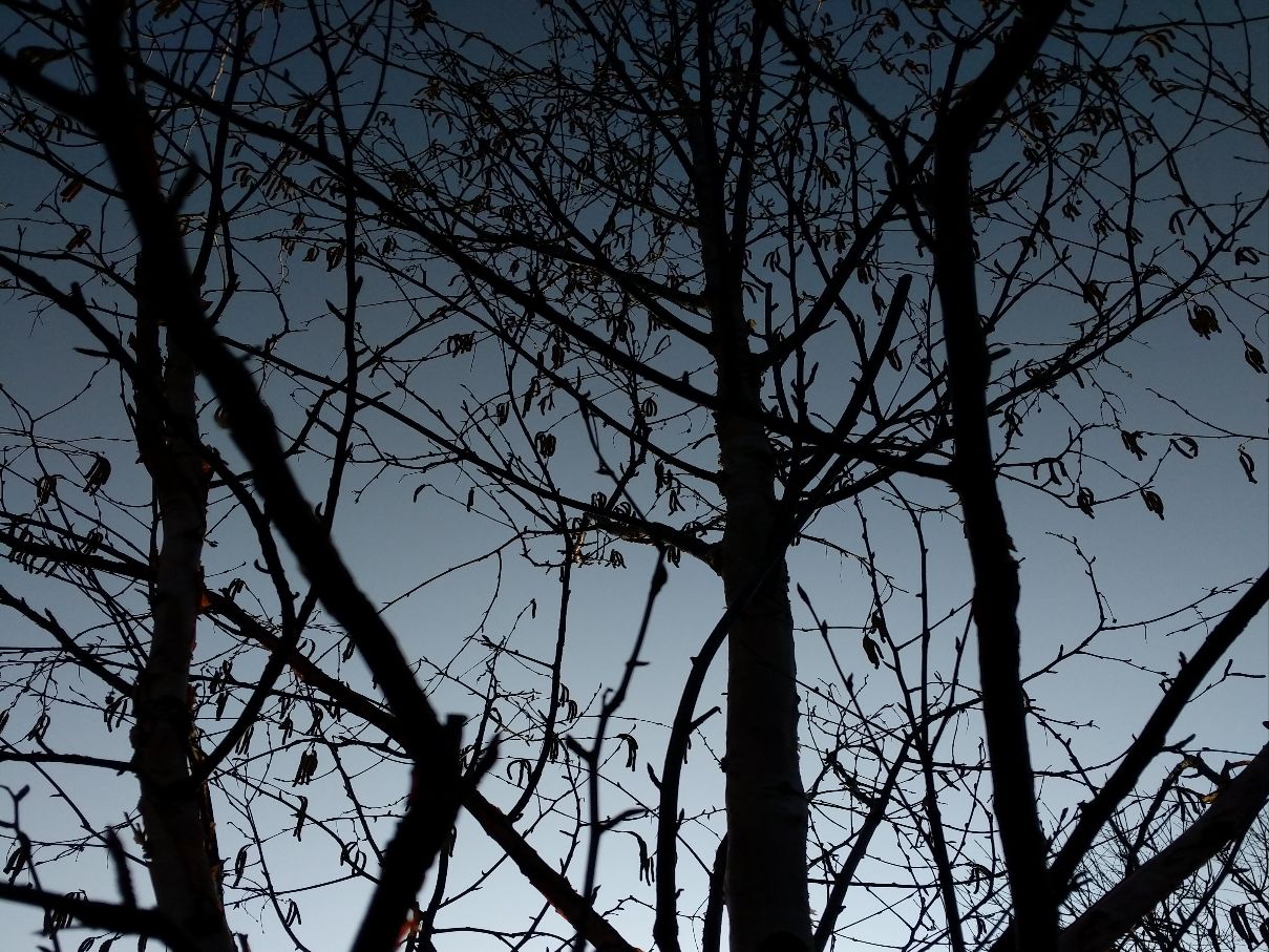 Berkhamsted, Hertfordshire, Fine but cold start to the day....