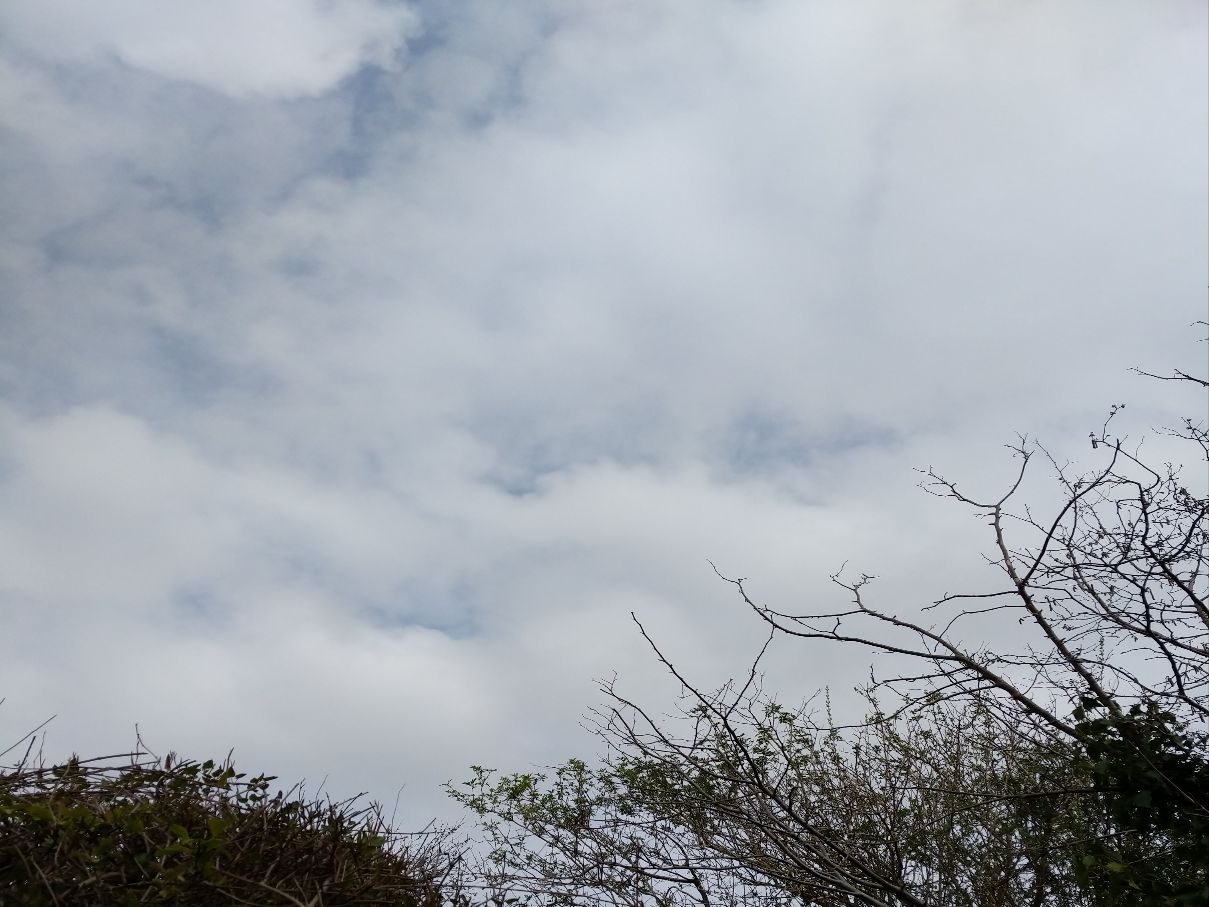 Berkhamsted, Hertfordshire, Overcast morning. Cloud now starting to break. ...