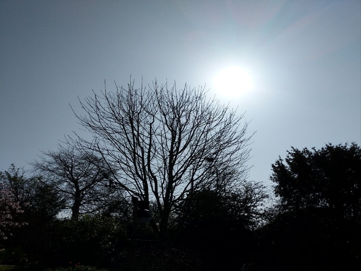 Berkhamsted, Hertfordshire, Bright sunshine. Warming quickly after a frosty start. ...