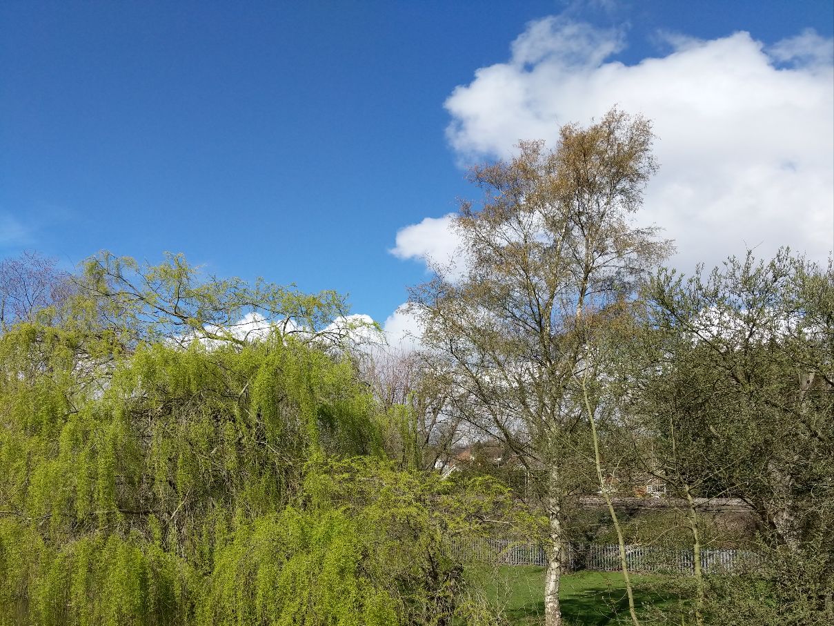 Berkhamsted, Hertfordshire, Bright sunshine. ...