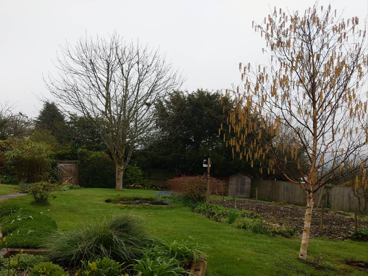 Berkhamsted, Hertfordshire, Overcast. Damp....