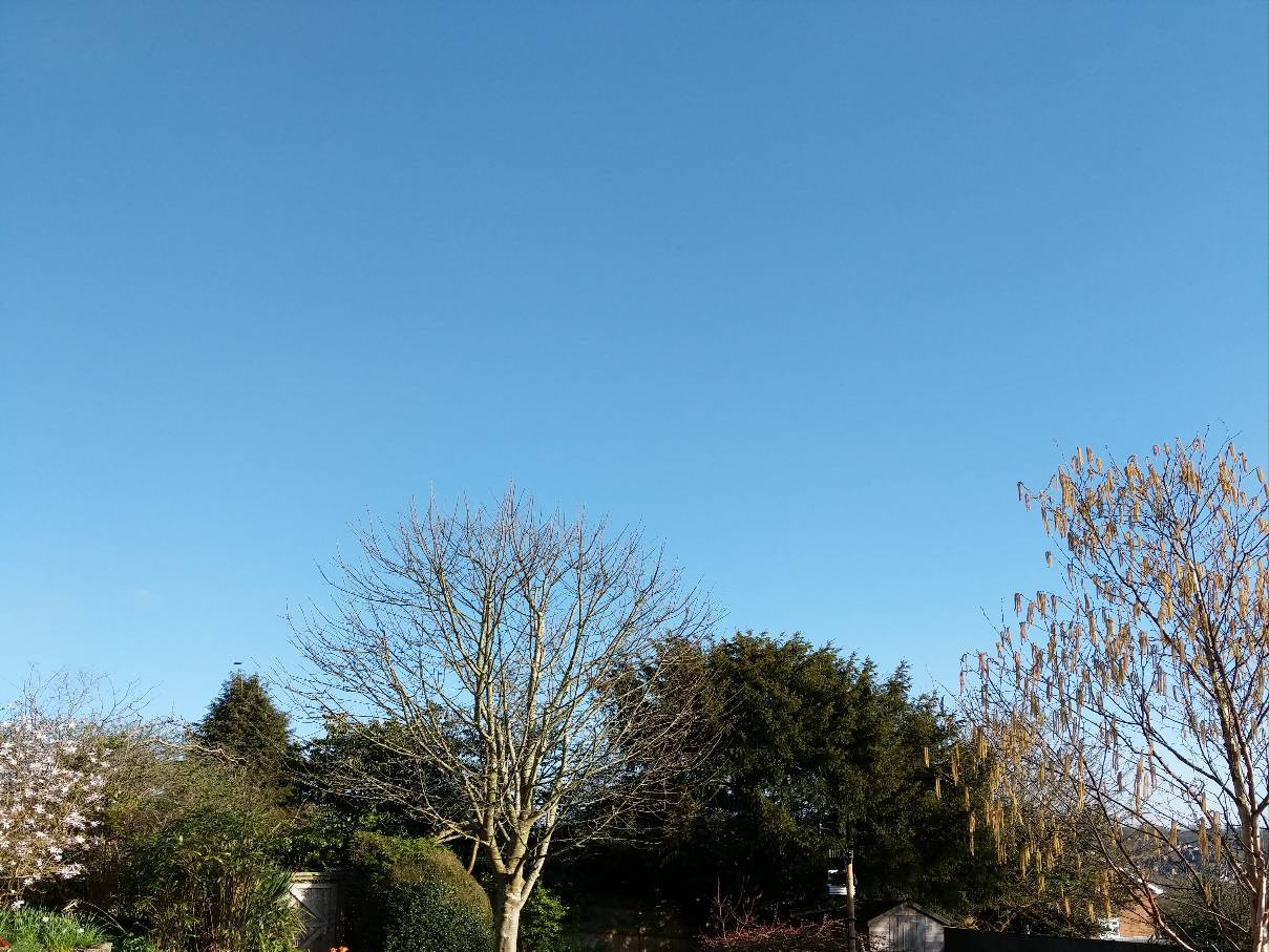 Berkhamsted, Hertfordshire, Cloudless but chilly evening...