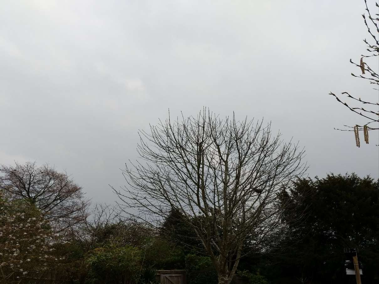Berkhamsted, Hertfordshire, Overcast....