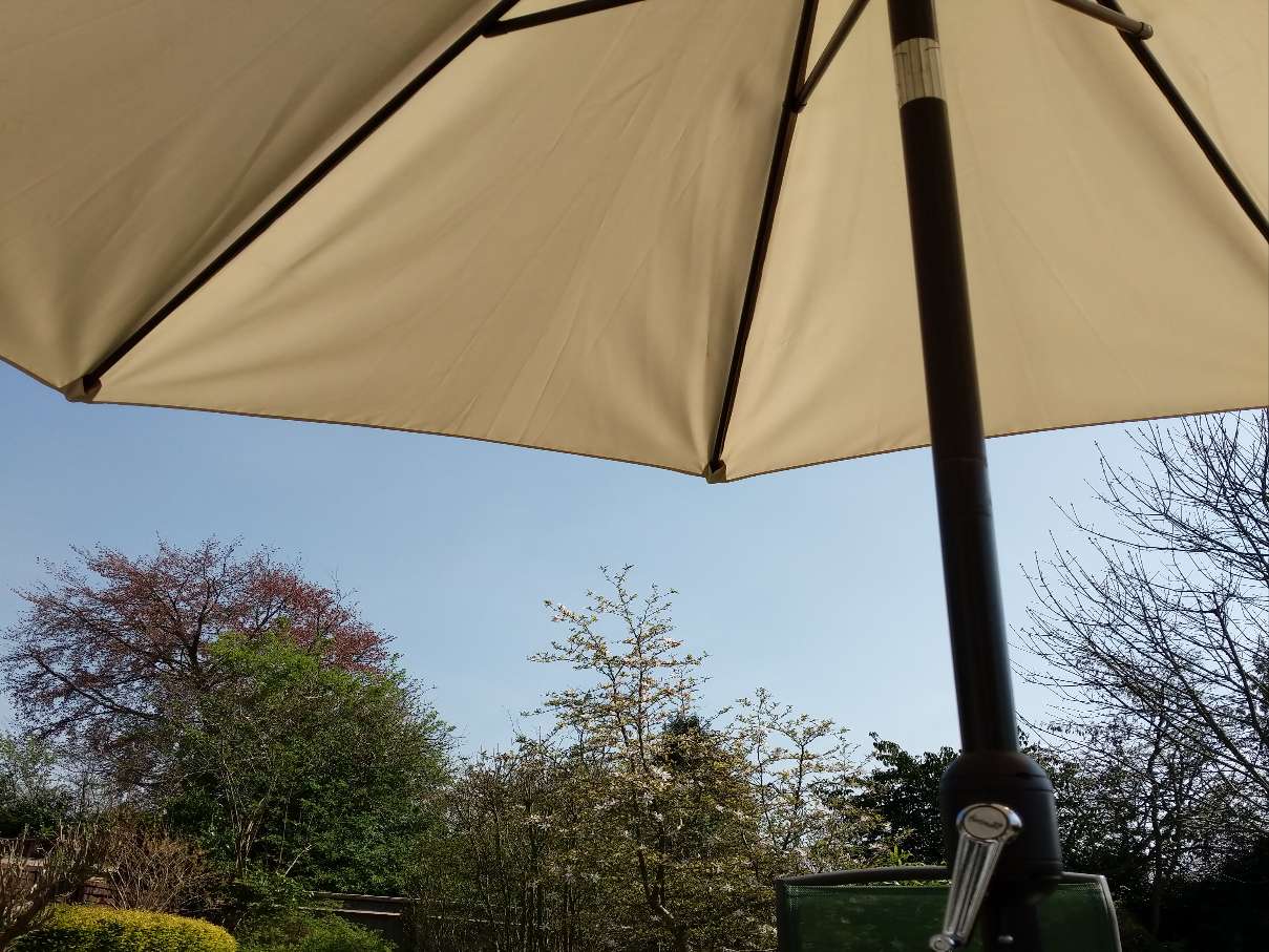 Berkhamsted, Hertfordshire, The parasol appears for the first time!...