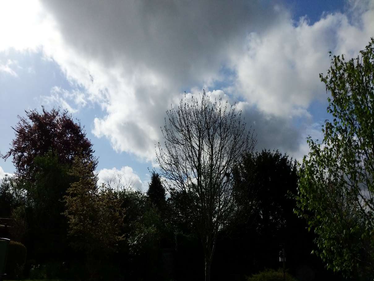 Berkhamsted, Berkhamsted, Bright start....