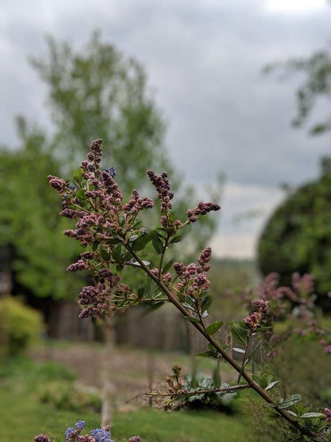 Berkhamsted, Hertfordshire, Often overcast. Max temp today 14.4C....