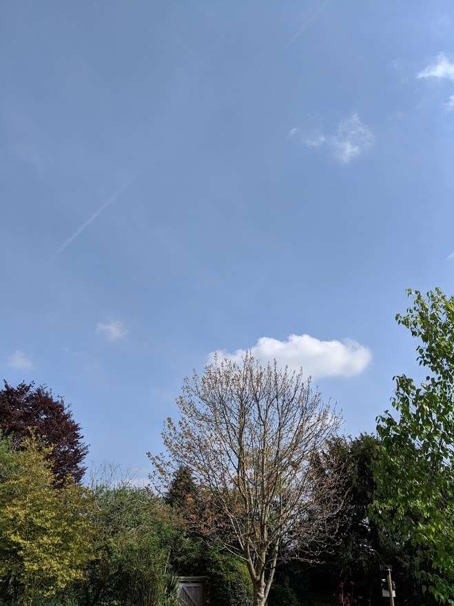 Berkhamsted, Hertfordshire, Fine day. Max temp 18.3C....