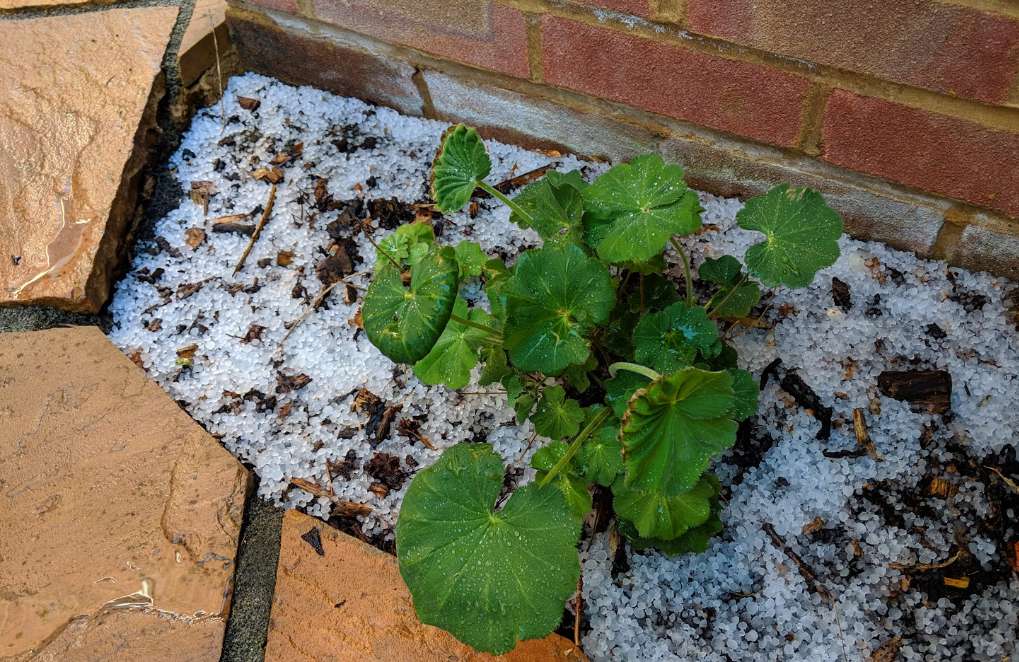 Berkhamsted, Hertfordshire, Heavy hail shower left this....