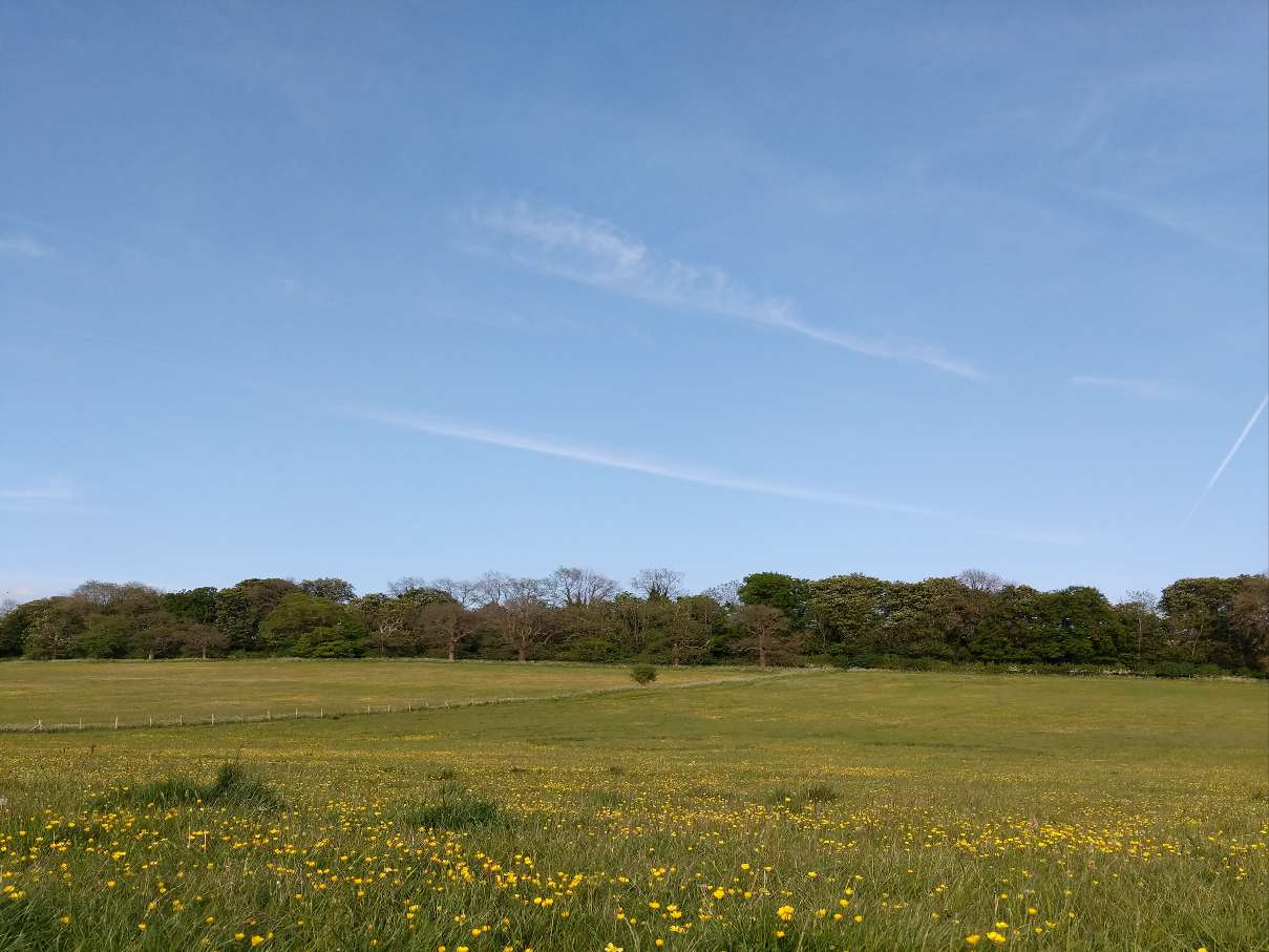 Berkhamsted, Hertfordshire, ...