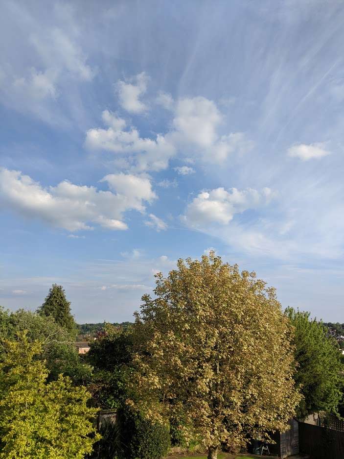 Berkhamsted, Hertfordshire, Fine day. Max temp 24C....