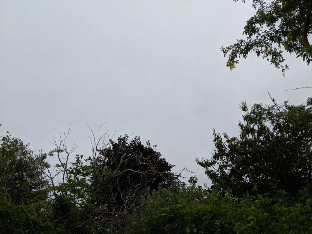 Berkhamsted, Hertfordshire, Overcast after earlier sun. Max temp 23.3C....