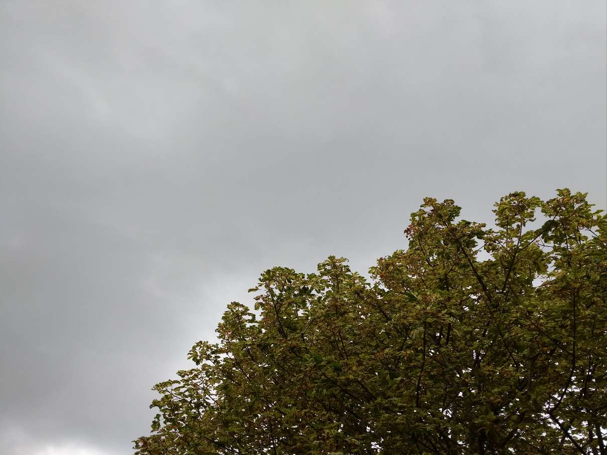 Berkhamsted, , ...