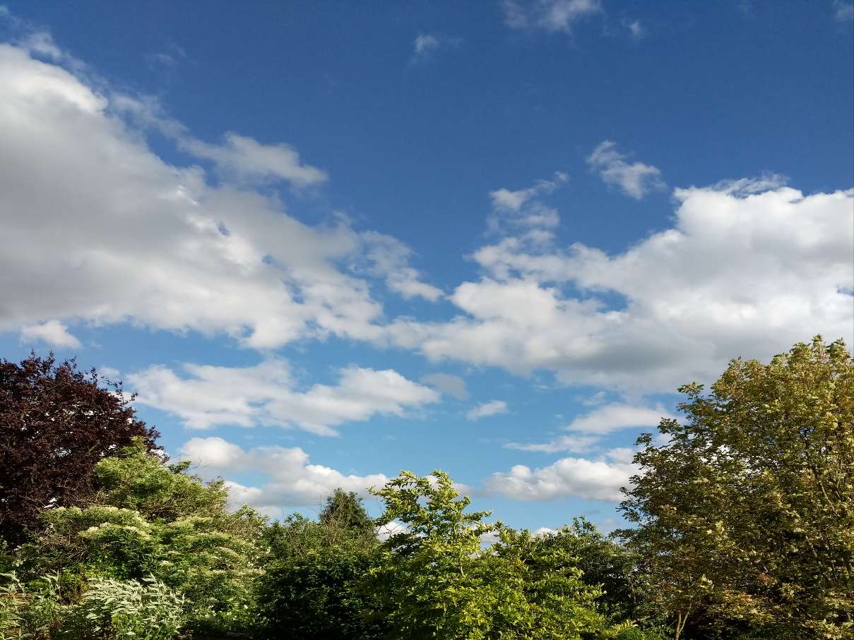 Berkhamsted, Hertfordshire, Windy but bright afternoon. Wet and windy earlier today. ...