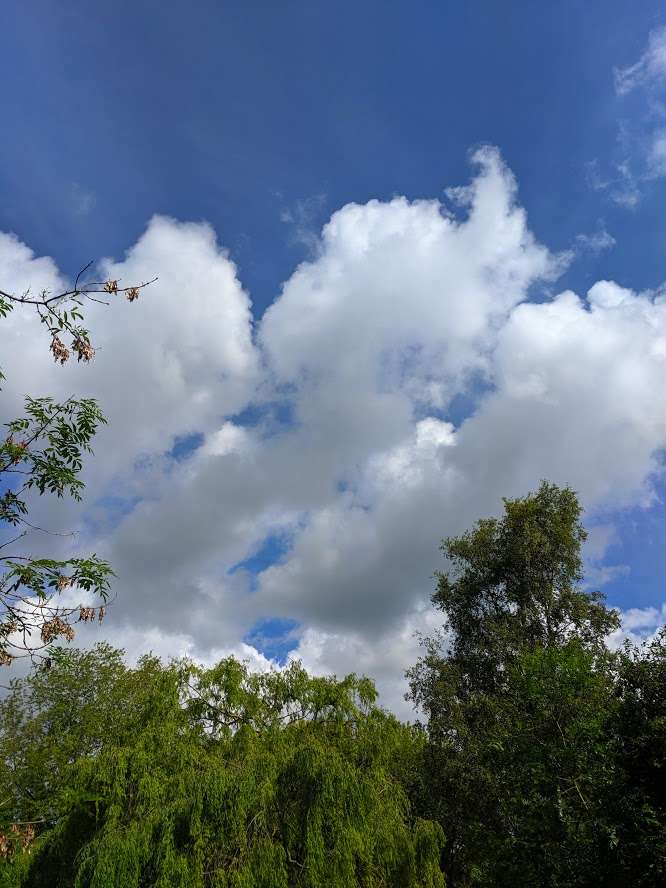 Berkhamsted, Hertfordshire, Fine this morning. Overcast afternoon....
