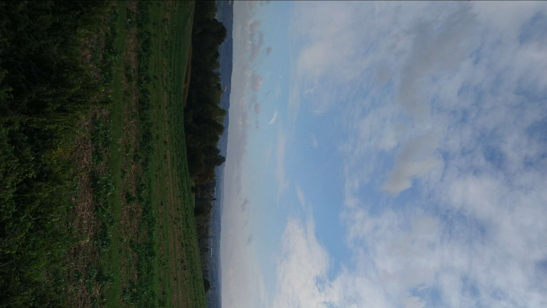 , , View from North downs towards maidstone ...