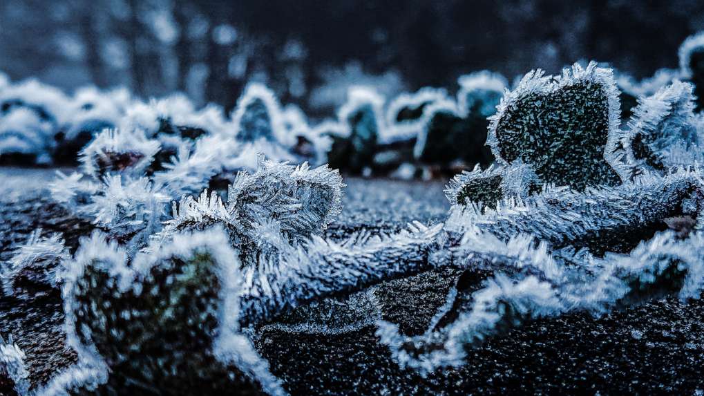 Great Yarmouth, Norfolk, Hoar frost ...