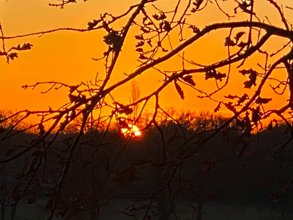 Fleet, Hants, Sunset ...