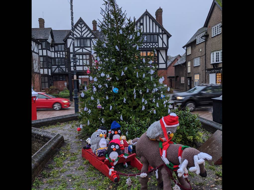Tring, Herts, Tring Christmas tree in the rain...
