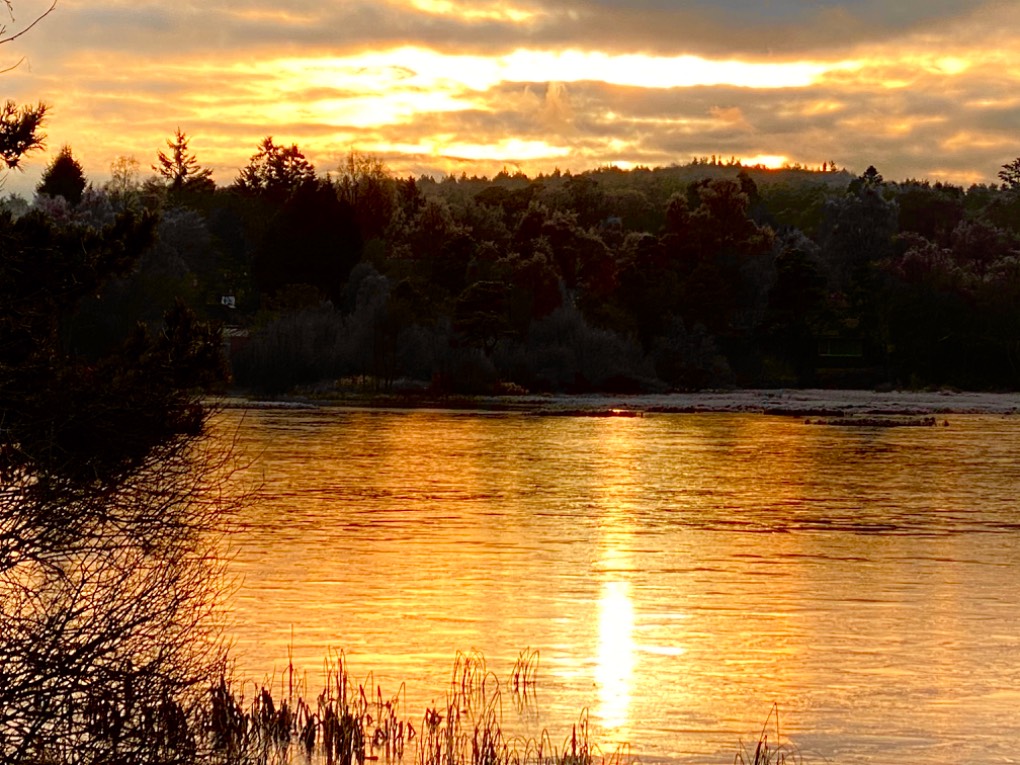 Aviemore, Scotland, Winter sunshine...