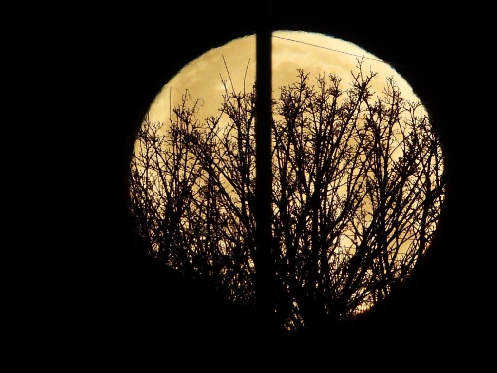 sheffield, South yorkshire, Full moon ...