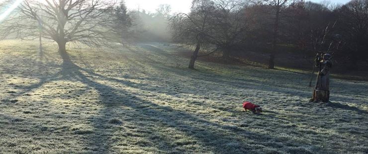 Frosty weather, Lesnes Abbey Woods. Posted by ddantasInUK