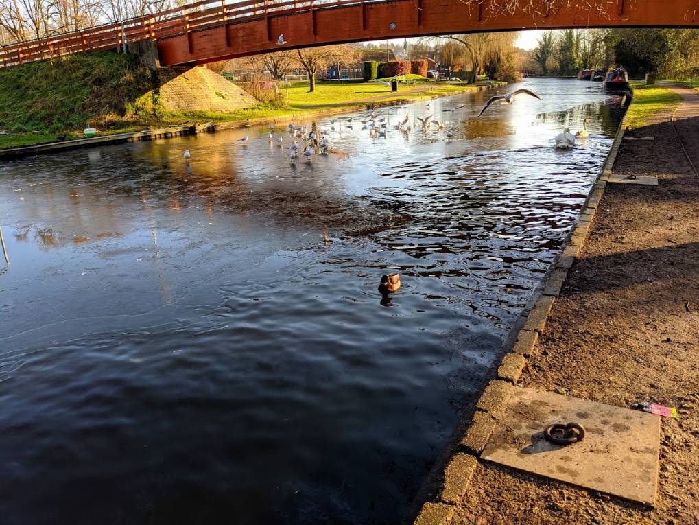 Berkhamsted, Hertfordshire, Ice on the Grand Union canal...