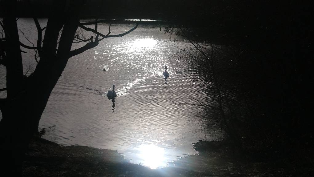 Leybourne, Kent, Leybourne lakes Country Park ...