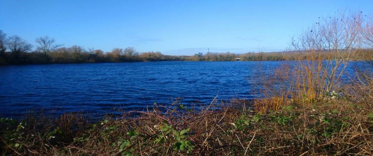 Leybourne lakes Country Park. Posted by ktaylor