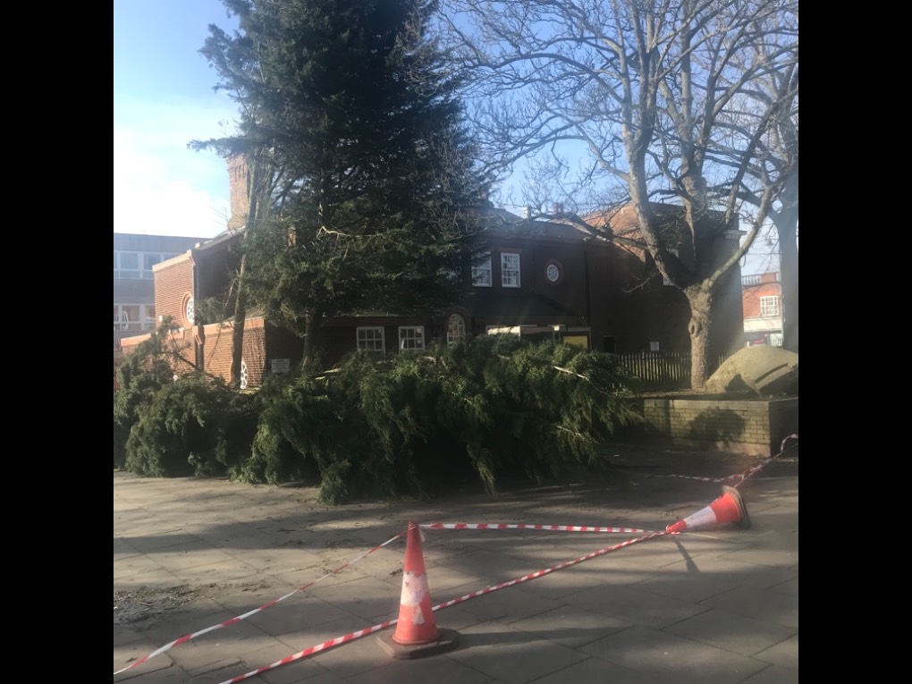 Preview image for The rest of February